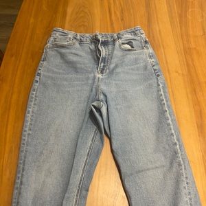 American Eagle Curvy Blue Jeans